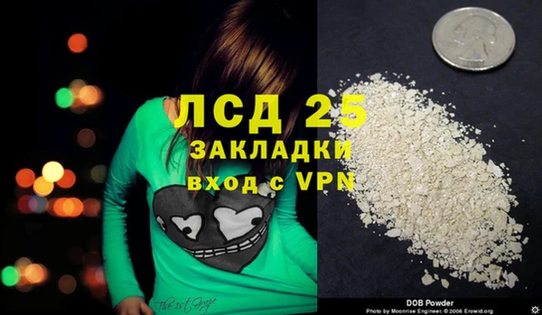 PSILOCYBIN Бугульма