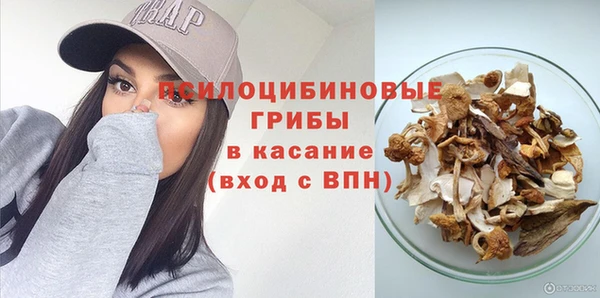 гидропоника Семилуки