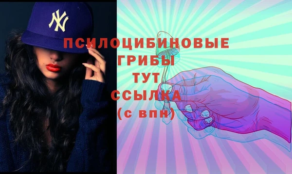 PSILOCYBIN Бугульма